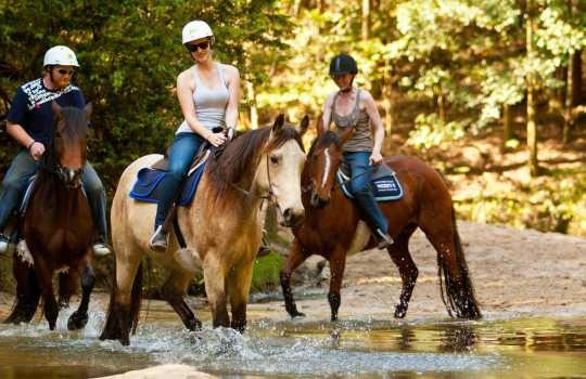 horse riding-1555318376.jpg